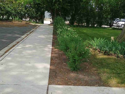 Lawn care service in Niles, 60714