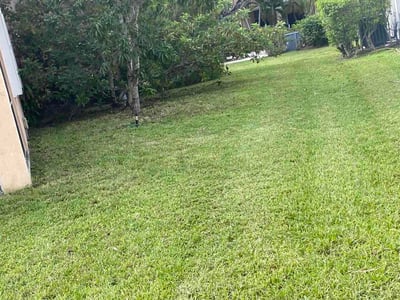 Lawn care service in Weston, 33331