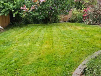 Lawn care service in Seattle, 98133