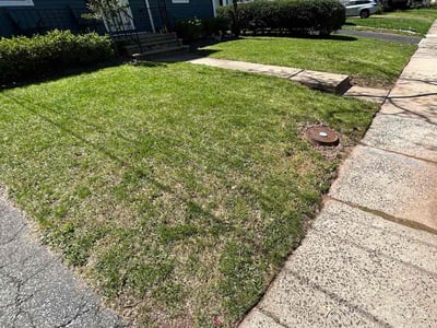Lawn care service in Roselle, 07203