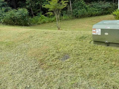 Lawn care service in Newnan, 30263
