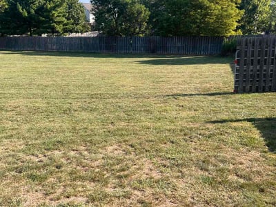 Lawn care service in Pickerington, 43147