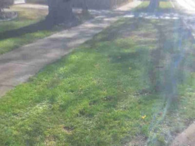 Lawn care service in Oak Forest, 60452