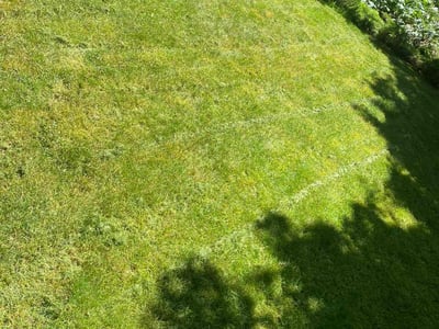 Lawn care service in Shoreline, 98177