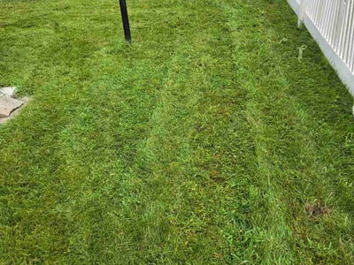 Lawn care service in Queens, 11413