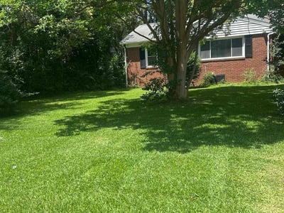 Lawn care service in Charlotte, 28203
