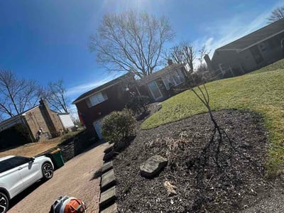 Lawn care service in Pittsburgh, 15229