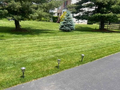 Lawn care service in Phillipsburg, 08865