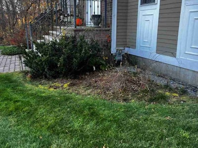 Lawn care service in Shrewsbury, 01545