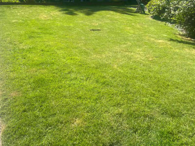 Lawn care service in Portland, 97223