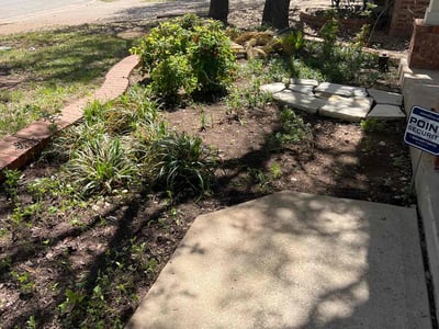 Lawn care service in Cedar Park, 78613