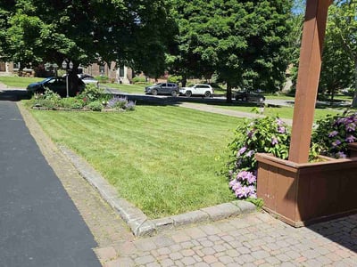 Lawn care service in Buffalo, 14226