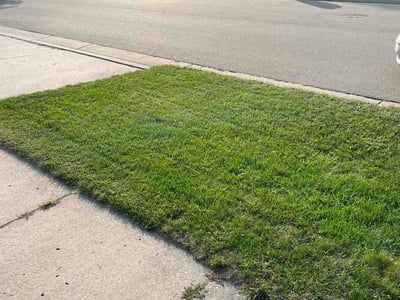 Lawn care service in Lansing, 48917