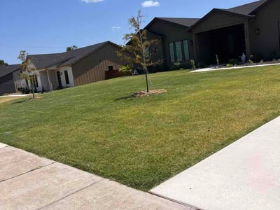 Lawn care service in Dallas, 75237