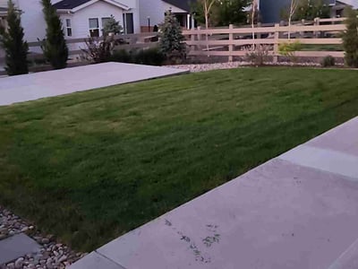 Lawn care service in Littleton, 80125