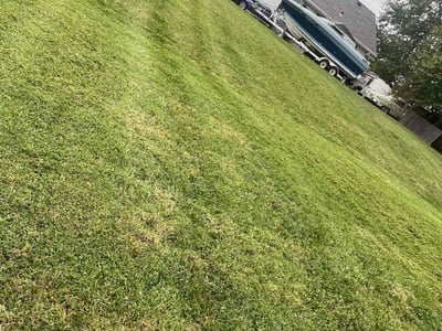 Lawn care service in Kansas City, 64117