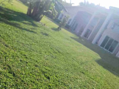 Lawn care service in Davie, 33328