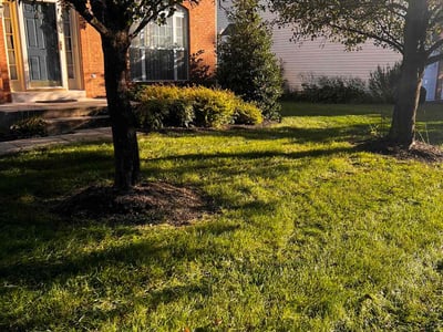 Lawn care service in Chantilly, 20152