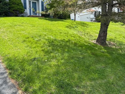 Lawn care service in Torrington, 06790