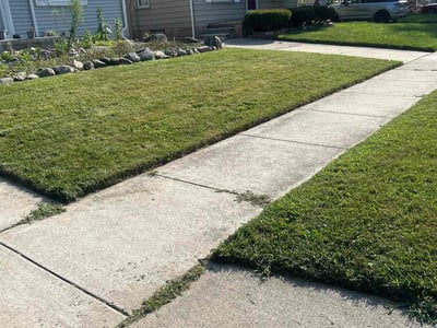Lawn care service in Royal Oak, 48073