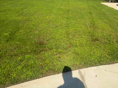 Lawn care service in Conway, 29526