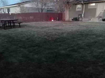 Lawn care service in Colorado Springs, 80909