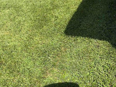 Lawn care service in Houston, 77083
