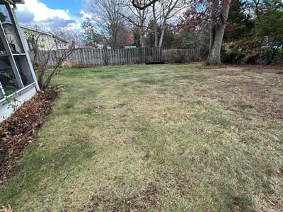 Lawn care service in Alexandria, 22311
