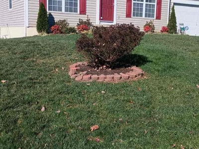 Lawn care service in Woodbridge, 22193