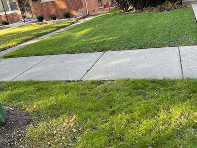 Lawn care service in Evanston, 60202