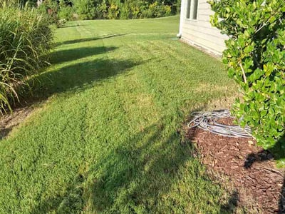 Lawn care service in Apex, 27523