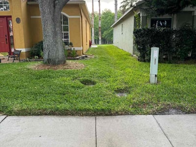Lawn care service in Land O' Lakes, 34639