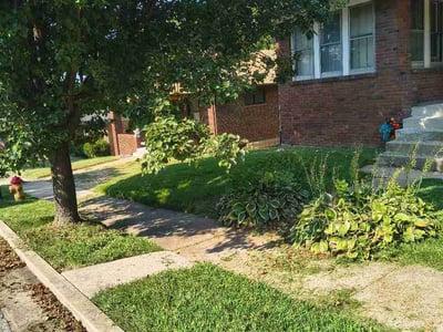 Lawn care service in St. Louis, 63121