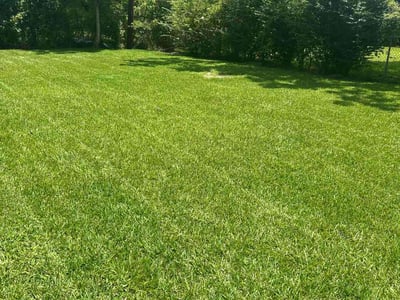 Lawn care service in Houston, 77016