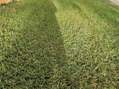 Lawn care service in Charlotte, 28212