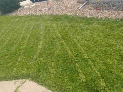 Lawn care service in Colorado Springs, 80922