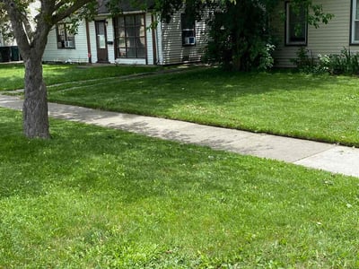 Lawn care service in Oak Park, 48237
