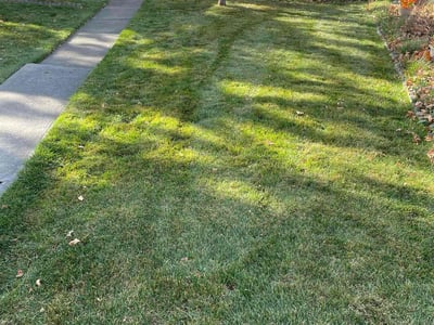 Lawn care service in Spokane, 99205