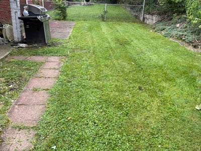 Lawn care service in Pittsburgh, 15220