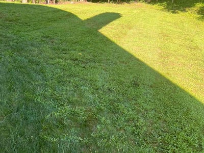 Lawn care service in Windsor, 06095