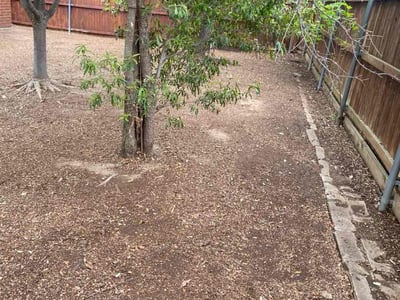 Lawn care service in Fort Worth, 76244