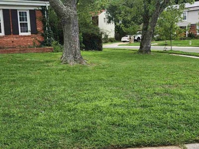 Lawn care service in Laurel, 20708