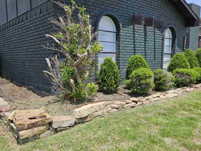Lawn care service in , 