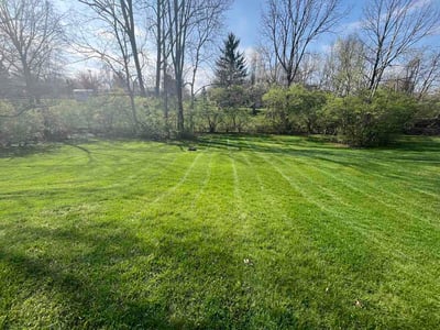 Lawn care service in Cincinnati, 45245