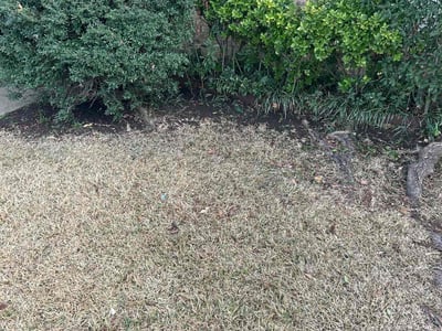 Lawn care service in Mesquite, 75149