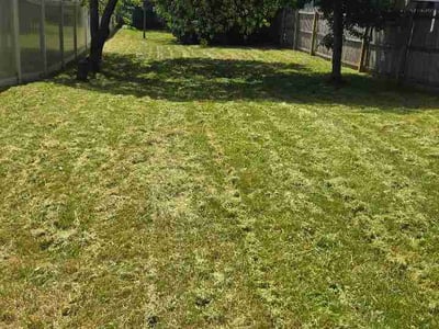 Lawn care service in Lancaster, 17601