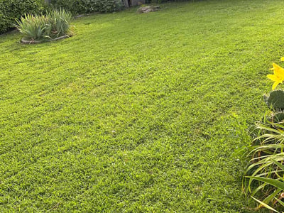 Lawn care service in Midwest City, 73130