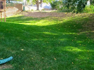 Lawn care service in Omaha, 68122