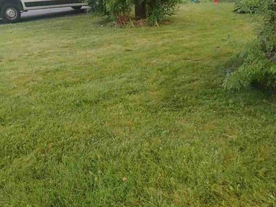 Lawn care service in Schenectady, 12309