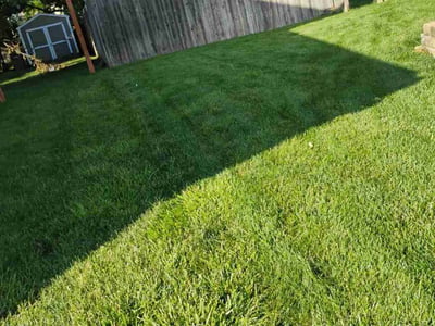 Lawn care service in Bellevue, 68123